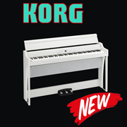 KORG G-1 - компактность и элегантность дизайна! KORG G-1 - компактность и элегантность дизайна!
