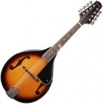 Купить мандолину в Украине. Продажа духовых инструментов - Интернет ...