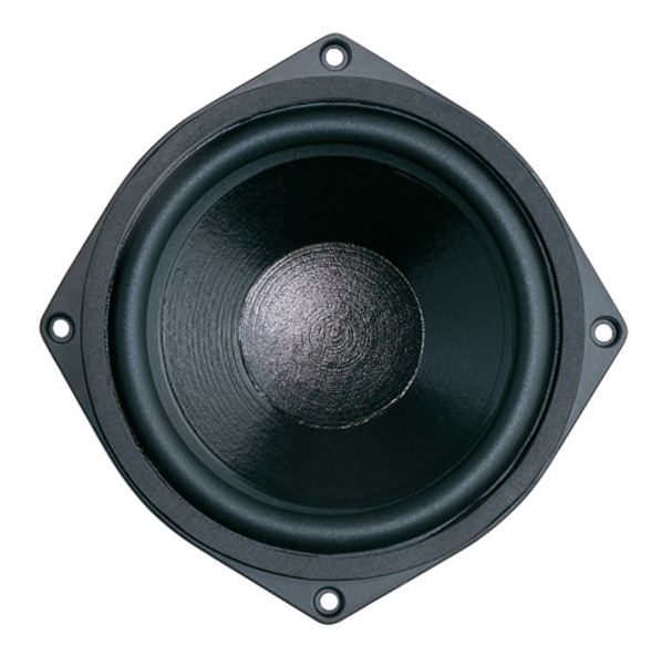Неодимовый НЧ динамик B&C Speakers 6NDL38 - купить в Одессе, Киеве ...