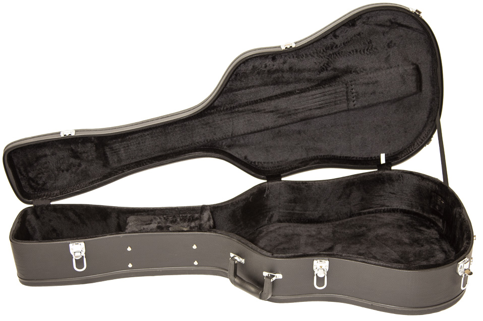 cort guitar case