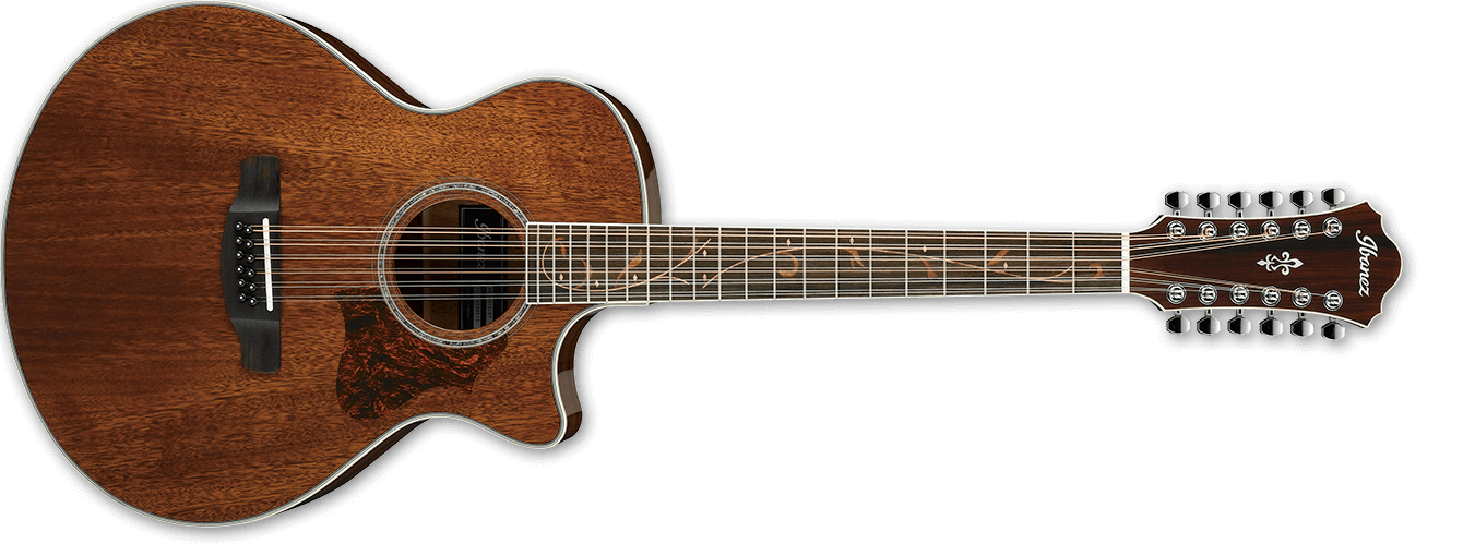 Акустическая 12-струнная гитара IBANEZ AE2412 NT - купить в Одессе ...