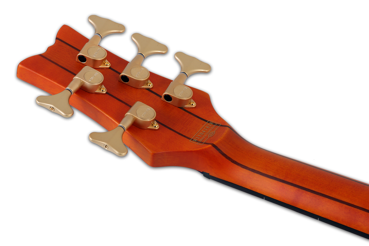 Пятиструнная безладовая бас-гитара SCHECTER STILETTO STUDIO-5 FL HSN ...