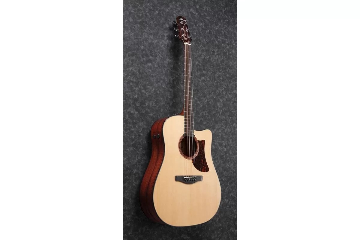 Электроакустическая гитара IBANEZ AAD170CE LGS - купить в Одессе, Киеве ...