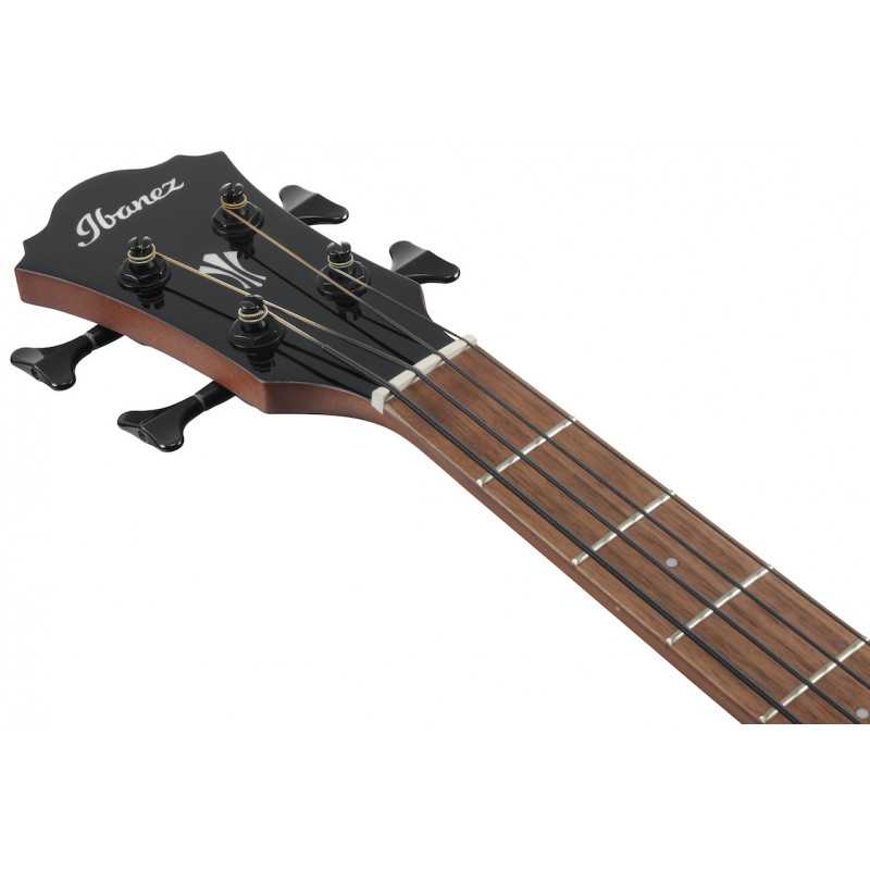 Электроакустическая бас-гитара IBANEZ AEGB24E-BKH - купить в Одессе ...