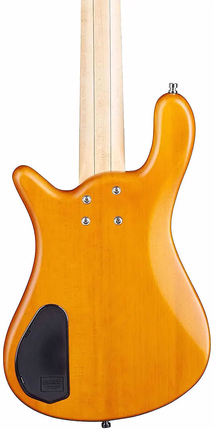 Пятиструнная бас-гитара WARWICK RockBass Streamer LX, 5-String (Honey ...