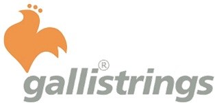 GALLI logo GALLI logo