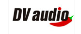 DV audio DV audio