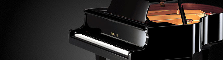 Дисклавир YAMAHA DGC1E PWH