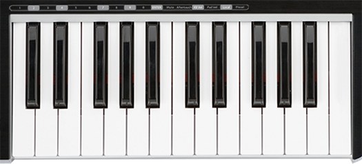 MIDI-клавиатура SAMSON GRAPHITE 25