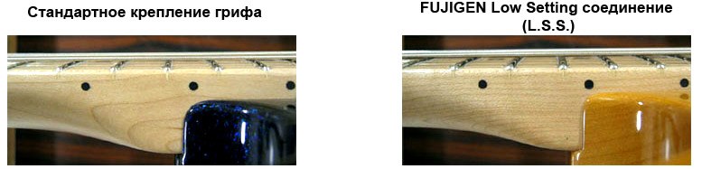  Електрогітара FUJIGEN EOS-AL-R / AWH 