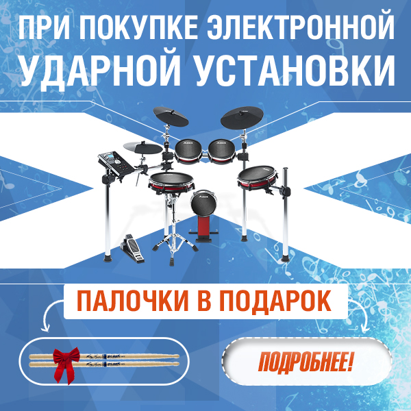 При покупке электронной ударной установки - палочки в подарок!