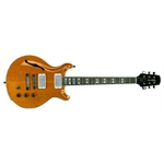 Электрогитара HAMER USA GATA