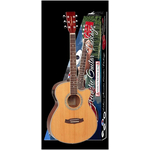 Гитара в комплекте Tanglewood DBT SF CE NG