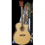 Гитара в комплекте Tanglewood DBT SJ CE NG