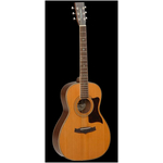 Вестерн гитара Tanglewood TW173