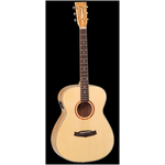 Гитара в комплекте Tanglewood TWF SPL E
