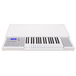 Синтезатор MANIKIN ELECTRONIC MEMOTRON