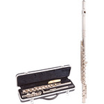 Флейта ODYSSEY OFL-100