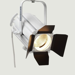 Прожектор Stage & Studio Luminaries 12ACFMSWHSCH