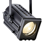 Прожектор Stage & Studio Luminaries 10SPC25G22SCH