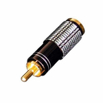 Тюльпан BESPECO MRCAL