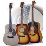 Акустическая гитара MAXTONE WGC408 TWR