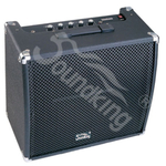 Комбо SOUNDKING SKAK60GR