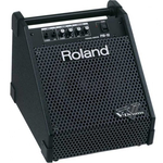 Монитор ROLAND PM10