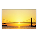 ЖК-панель Samsung 460UT-2