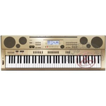 Синтезатор CASIO AT-5