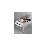 Рояль Julius Bluthner 11 White, polished