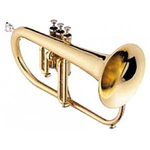 Флюгельгорн Jupiter JFH846L