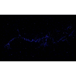 Панель "Галактика" Fiber optic ML-02