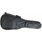 Чехол для бас-гитары  PROEL BAG230PN
