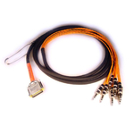 Кабель AVID DB25-TRS DIGISNAKE 12'
