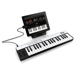 Midi-клавиатура IK Multimedia iRig KEYS