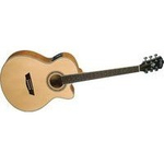 Электроакустическая гитара Washburn EA40 SCE