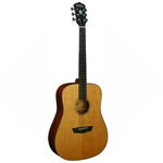 Акустическая гитара Washburn WD160 SW