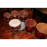 Подвесной том Pearl MW-1413TG