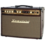 Комбоусилитель Traynor AM Studio