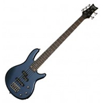Электрогитара Schecter Raiden DLX-5 DMB 2011
