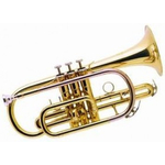 Корнет J.Michael CT-420 6061