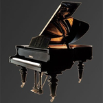 Рояль Julius Bluthner BLU S2 Black, polished KW