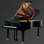 Рояль Julius Bluthner BLU S10 Black, polished