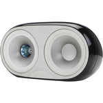 Акустическая система Tannoy Arena 5.1 Centre