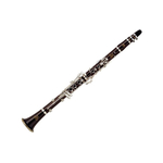 Кларнет Gewa ROY BENSON CB-517 RB700470