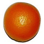 Маракас MAXTONE FM05