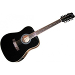 Акустическая гитара Eurofon GSW 110