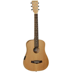 Электроакустичекая гитара Tanglewood TWR TE