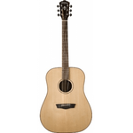 Акустическая гитара Washburn WD250 SW